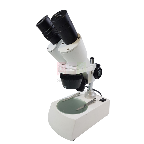 Microscope, Stereo Binocular